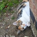 Elisabeth Stehr Profile Picture