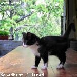 Abner Kautzer Profile Picture