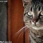 Gabe Heidenreich Profile Picture