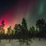 Anahi Bernier Profile Picture